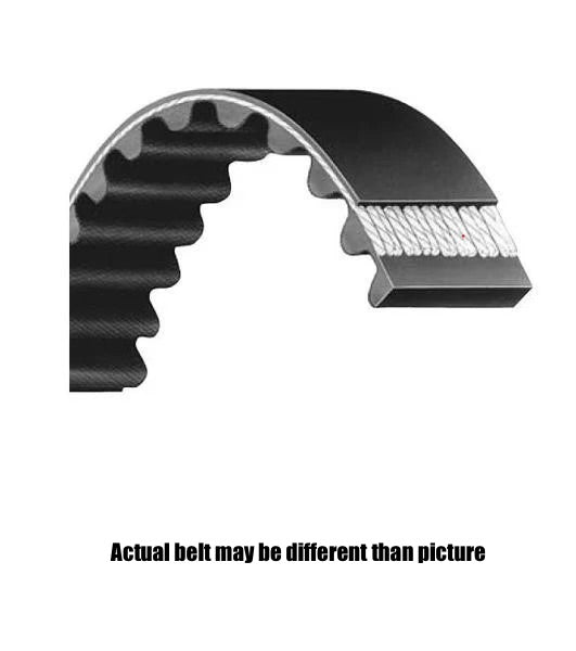 1200 8M Low Power Belt