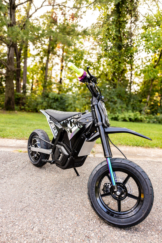 Midwest Mini Mods EM5 Swingarm